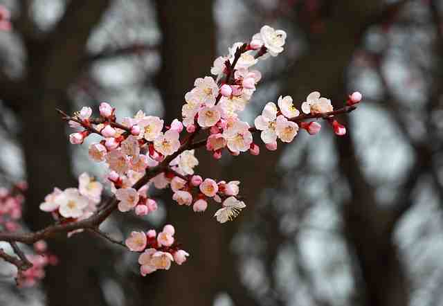 Où aller en avril pour se baigner ?