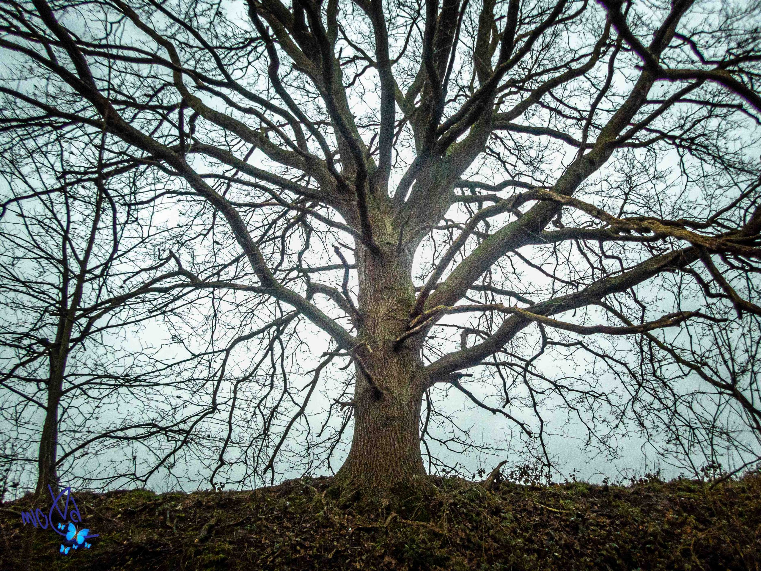 Où se baigner en Europe au mois de mars ?