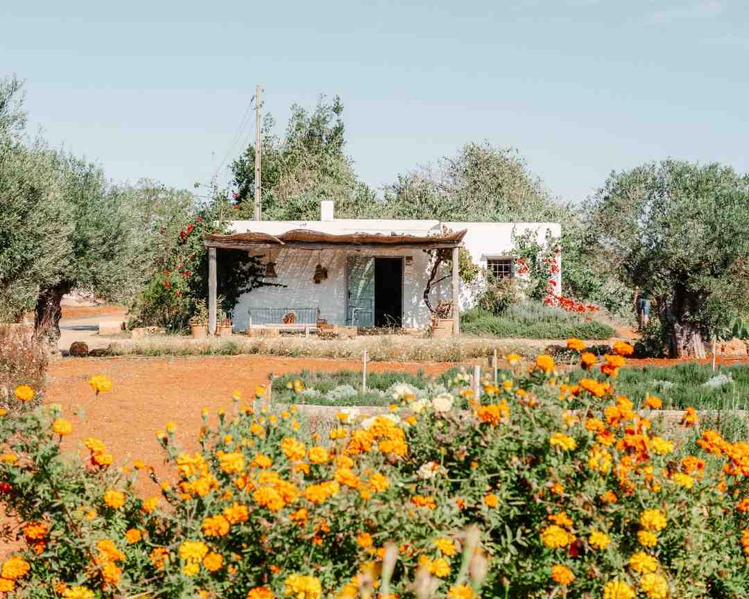 Où se trouve Ibiza en Espagne ?