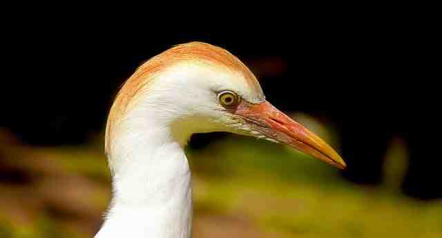 Quelle est la plus belle île au monde ?