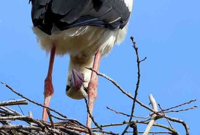 Quelle île choisir aux Baléares en avril ?