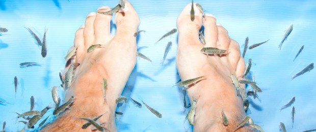 Vous connaissez la Thérapie par les poissons ?