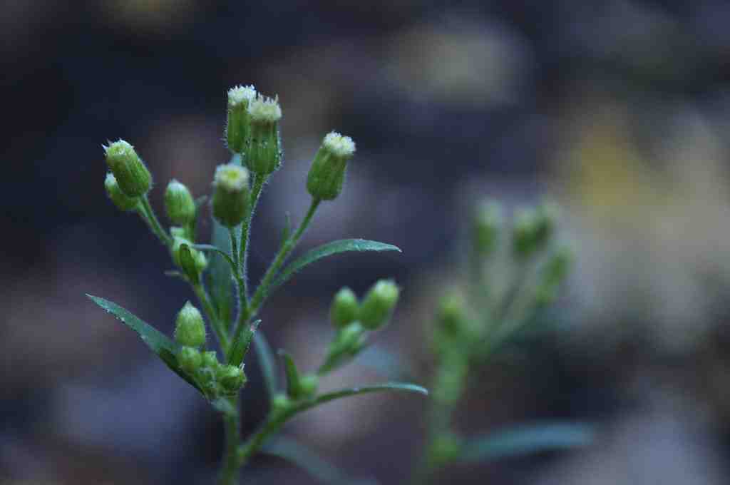 Où partir au soleil en novembre 2020 ?