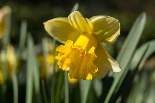 Où partir en avril pour avoir du soleil ?