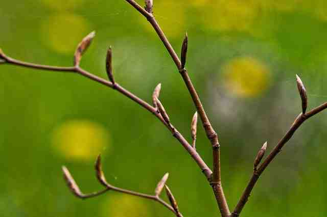 Où partir en avril pour avoir du soleil ?