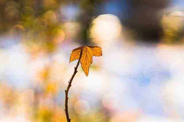 Où partir en novembre au soleil pas cher ?