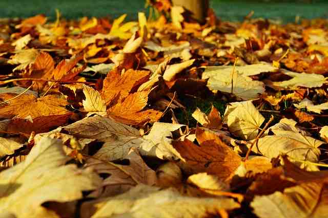 Où partir en novembre pour avoir du soleil ?