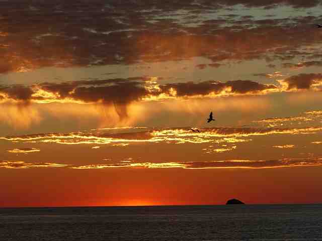 Vacances à ibiza cet été