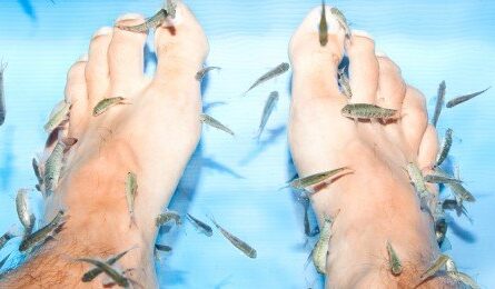 Vous connaissez la Thérapie par les poissons ?